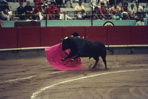 Spain Fine Art Print