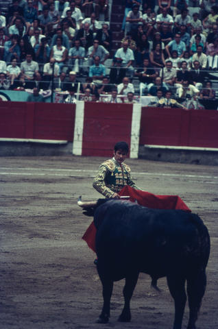 Spain Fine Art Print