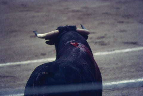 Spain Fine Art Print