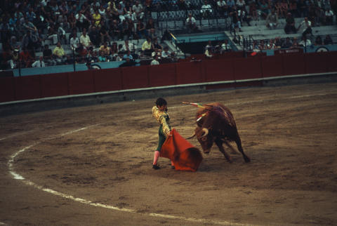 Spain Fine Art Print