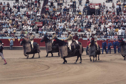 Spain Fine Art Print