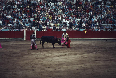 Spain Fine Art Print