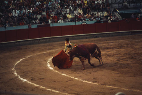 Spain Fine Art Print