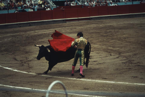 Spain Fine Art Print