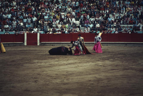 Spain Fine Art Print