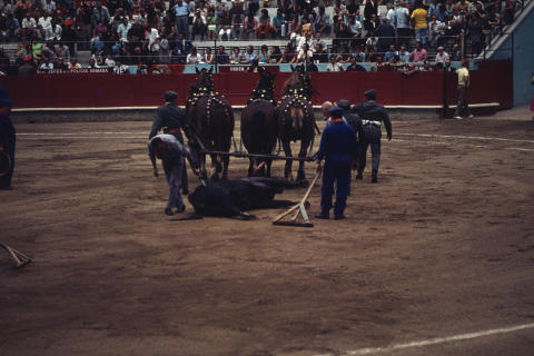 Spain Fine Art Print