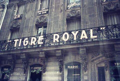 Paris Fine Art Print