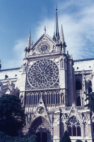 Paris Fine Art Print