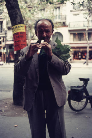 Paris Fine Art Print