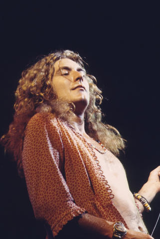 Robert Plant Fine Art Print