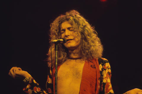 Robert Plant Fine Art Print