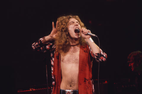Robert Plant Fine Art Print