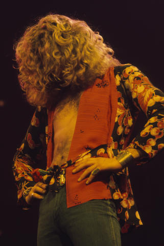 Robert Plant Fine Art Print