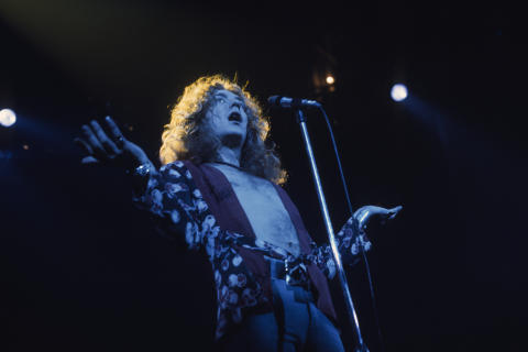 Robert Plant Fine Art Print