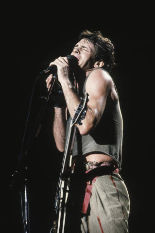 Rick Springfield Fine Art Print