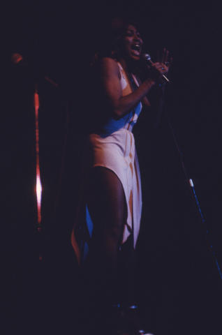 Tina Turner Fine Art Print