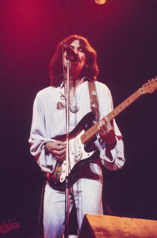 George Harrison Fine Art Print