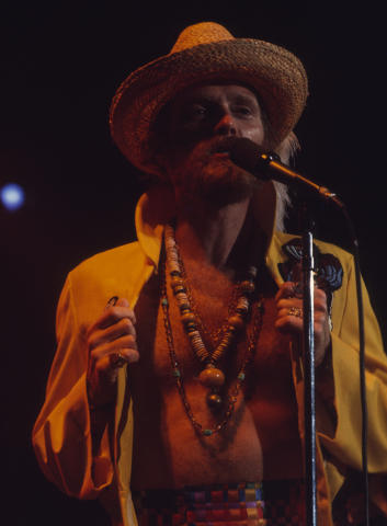 The Beach Boys Fine Art Print