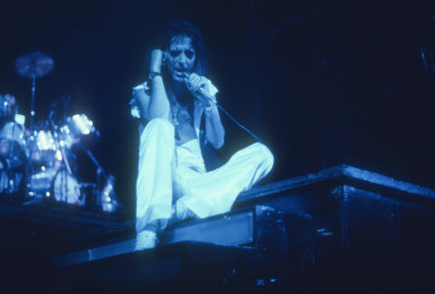 Alice Cooper Fine Art Print