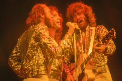 Bee Gees Fine Art Print