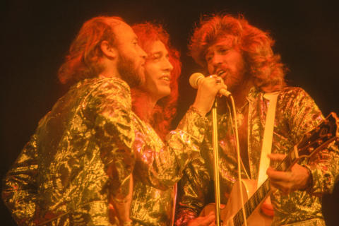 Bee Gees Fine Art Print
