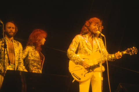 Bee Gees Fine Art Print