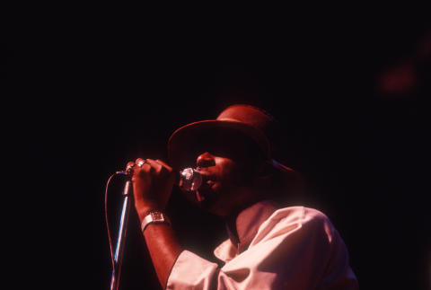 The Chambers Brothers Fine Art Print