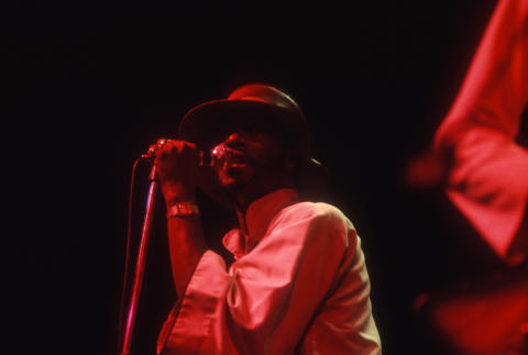 The Chambers Brothers Fine Art Print