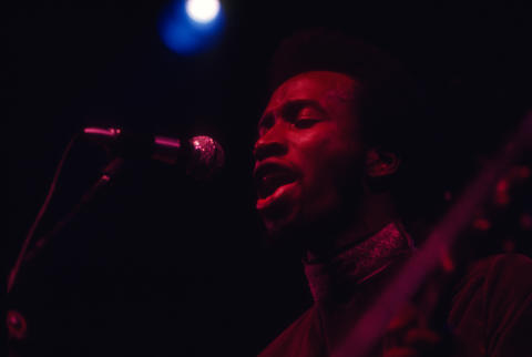 The Chambers Brothers Fine Art Print