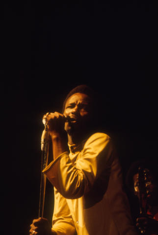 The Chambers Brothers Fine Art Print