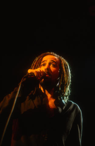 Counting Crows Fine Art Print