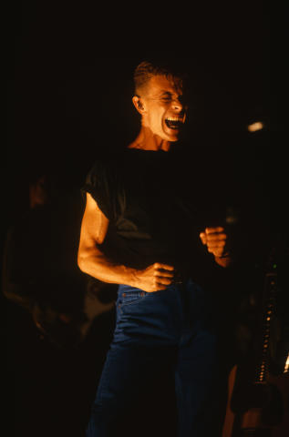 David Bowie Fine Art Print