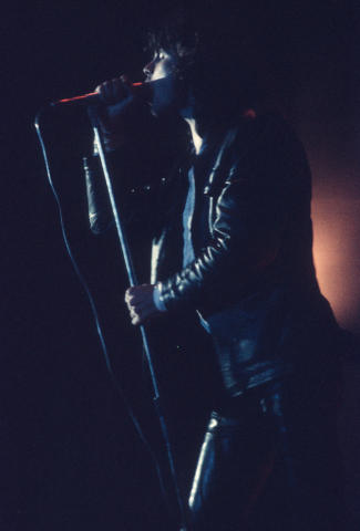 The Doors Fine Art Print