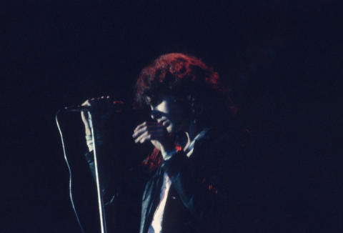 The Doors Fine Art Print