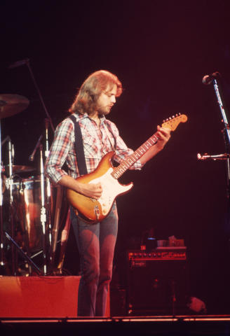 The Eagles Fine Art Print