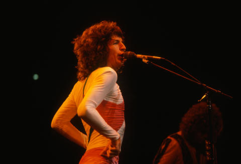 Electric Light Orchestra Fine Art Print