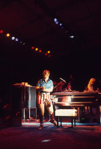 Elton John Fine Art Print