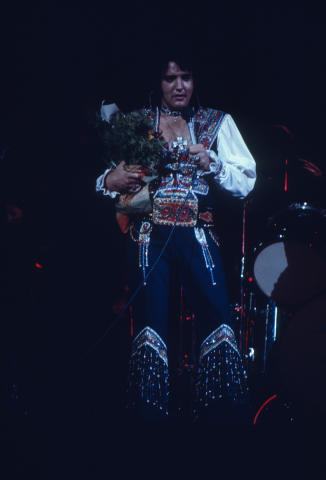 Elvis Presley Fine Art Print