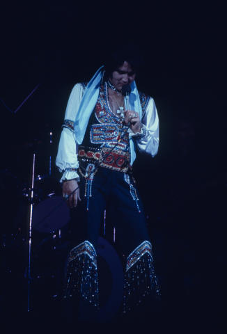 Elvis Presley Fine Art Print