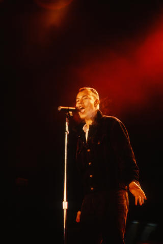 Fine Young Cannibals Fine Art Print