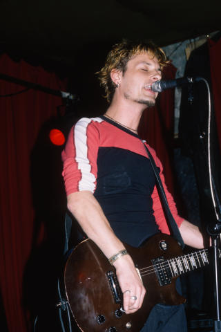 Geraniums Fine Art Print