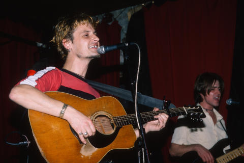 Geraniums Fine Art Print