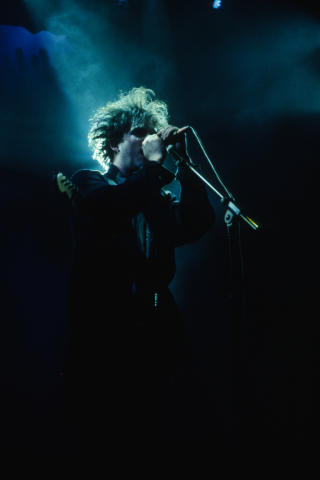 Green Day Fine Art Print