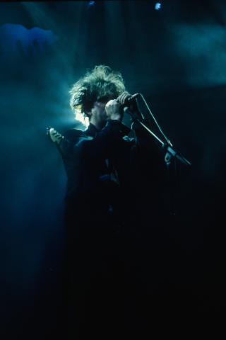 Green Day Fine Art Print