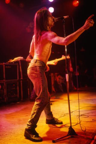 Iggy Pop Fine Art Print