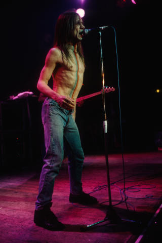 Iggy Pop Fine Art Print