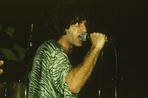 Krokus Fine Art Print