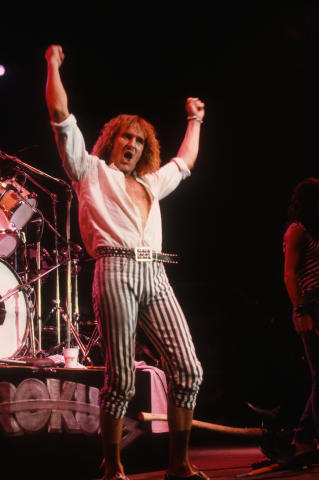 Krokus Fine Art Print