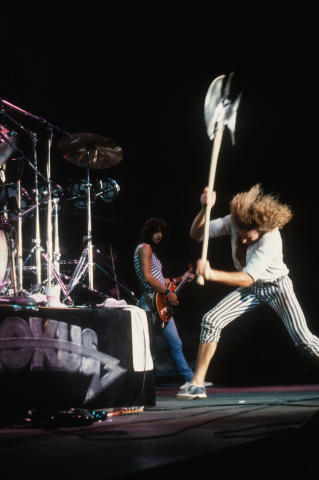 Krokus Fine Art Print