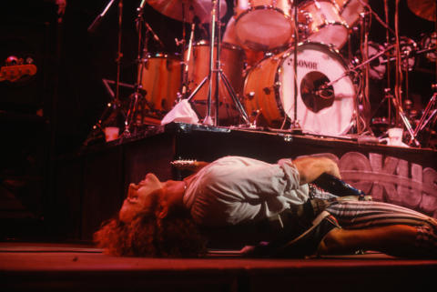 Krokus Fine Art Print